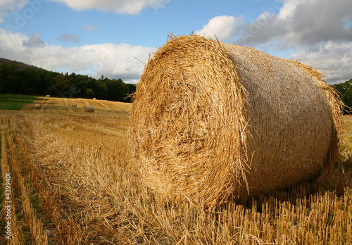 Bales 5