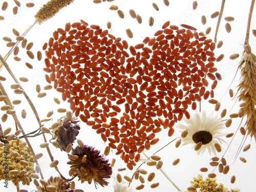 heart