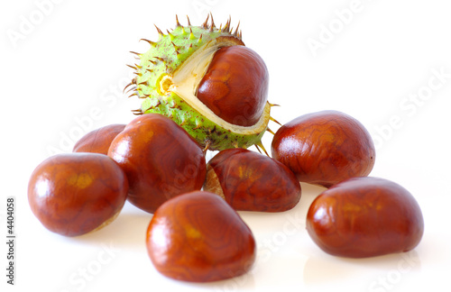 Chestnuts over white background