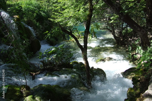 Plitvice lakes (10)