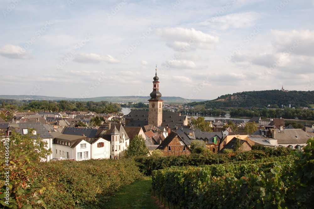 Rudesheim view