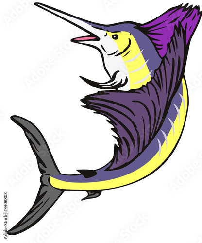 Sailfish