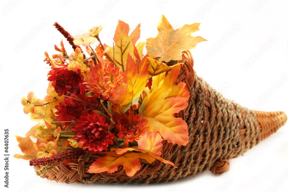 Obraz premium Autumn Basket