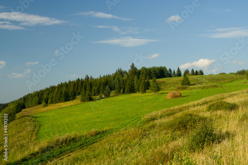 Beautiful summer landscape....