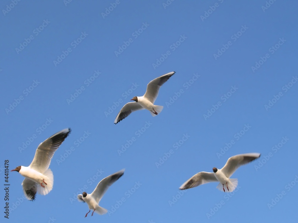 Obraz premium Über den Dingen schweben