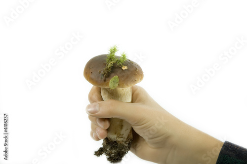 Tableau sur toile Hand with boletus