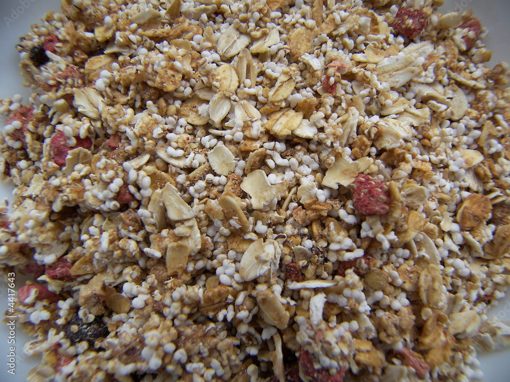 amaranth muesli amaranth muesli
