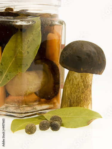 mushrooms in he jar