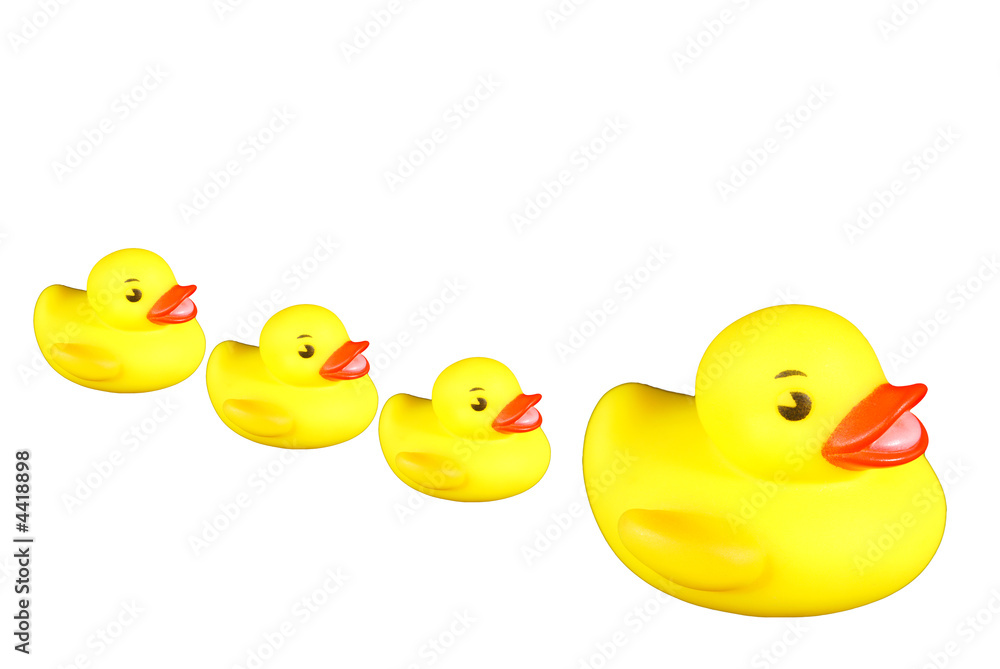Rubber duckies all in a row