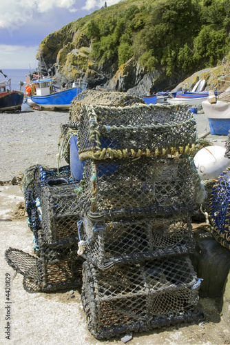 cadgwith photo