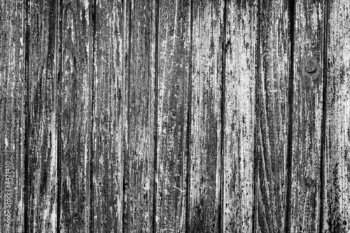 Black and white texture of old wooden door