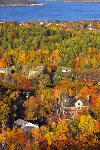 Fall foliage colors