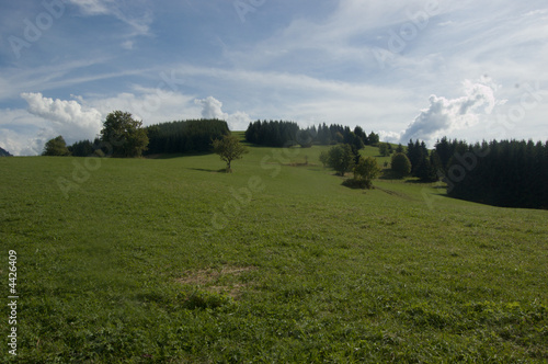 Alpages en montagne