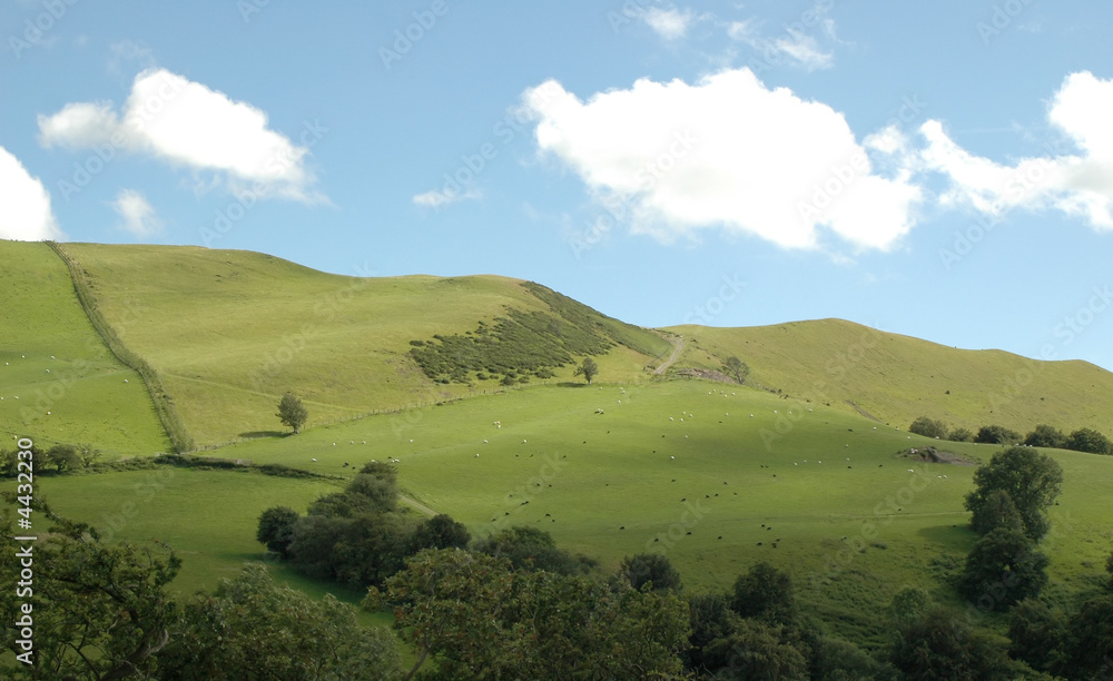 sunny hillside landscape