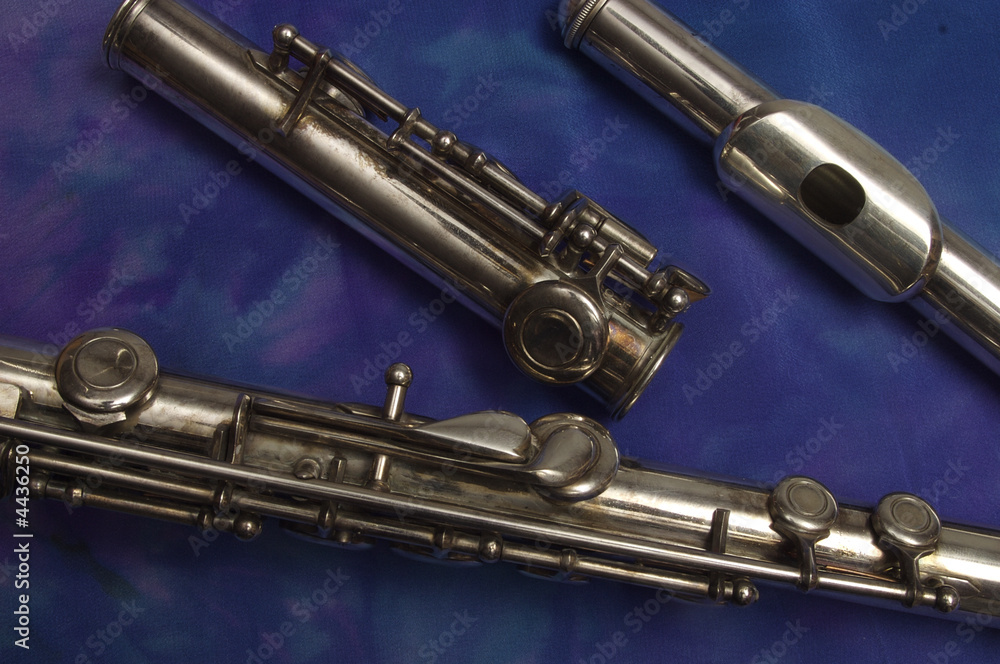 Naklejka premium Three parts of a flute, secondary keys