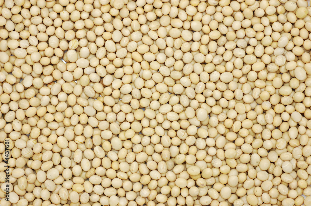 Soy beans Soy beans