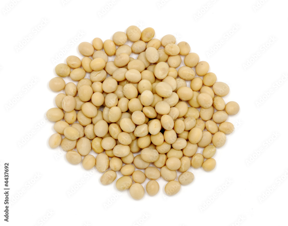 Close up of soy beans Close up of soy beans
