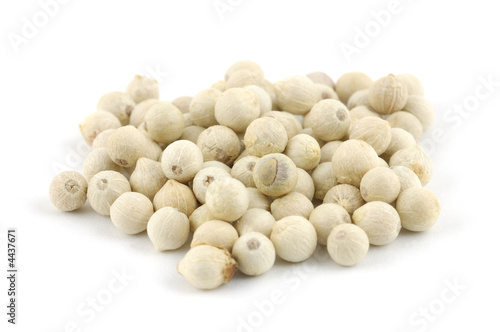 White peppercorns
