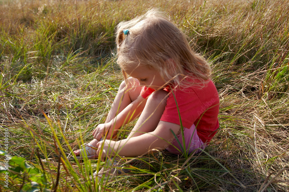 Fototapeta premium Girl on a meadow