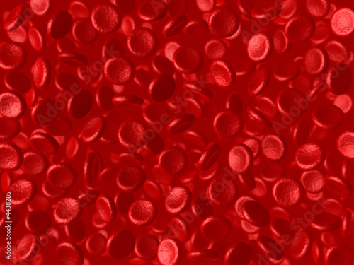 Many red cells of the blood. Good to use as background