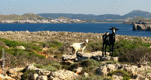 menorca photo