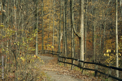 Autumn