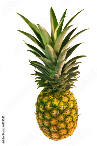 pineapple isolated over white