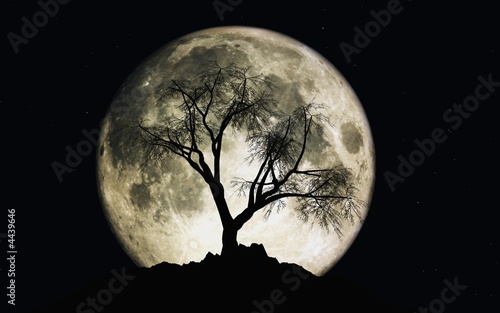 3D render of moon with stars and a tree silhouette