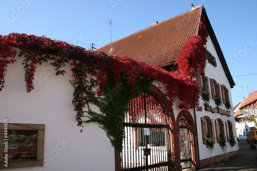 Winzerhaus photo