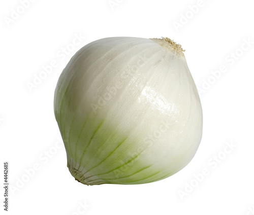 onion isolated with clipping path