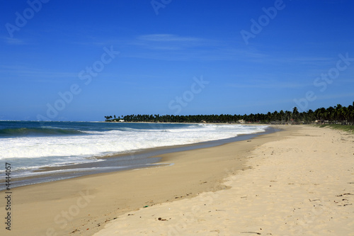 beach of maracaipe