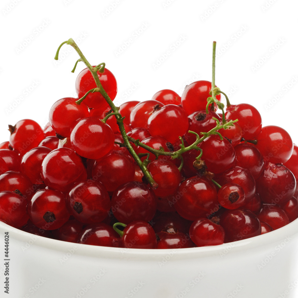 currant currant