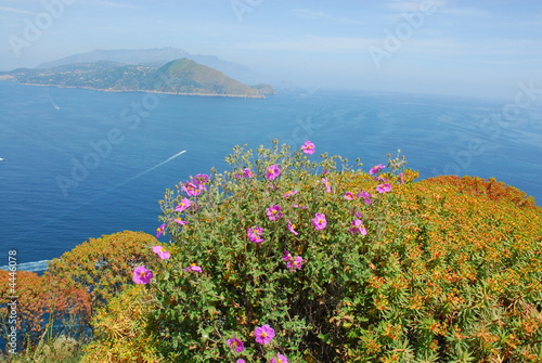 Panorama, Capri
