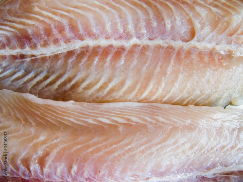Fish fillet