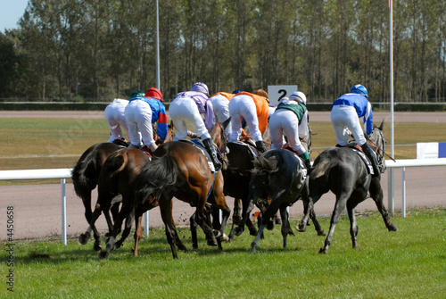 peloton de chevaux lors d'une course de plat
