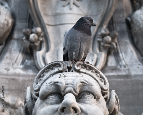 Pigeon sitting on a threatened sculpture