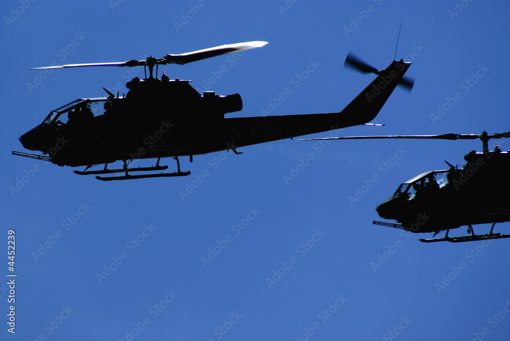 Fototapeta premium into the wild blue yonder