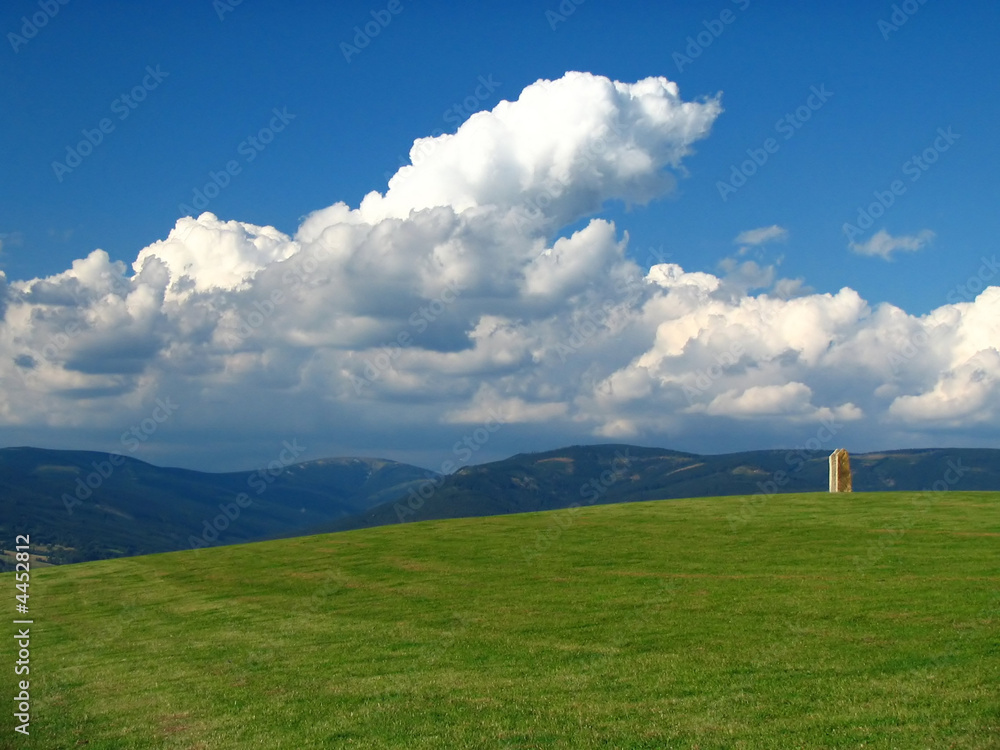meadow meadow