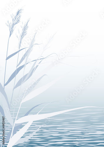 Reed in Water Calm Vector Background