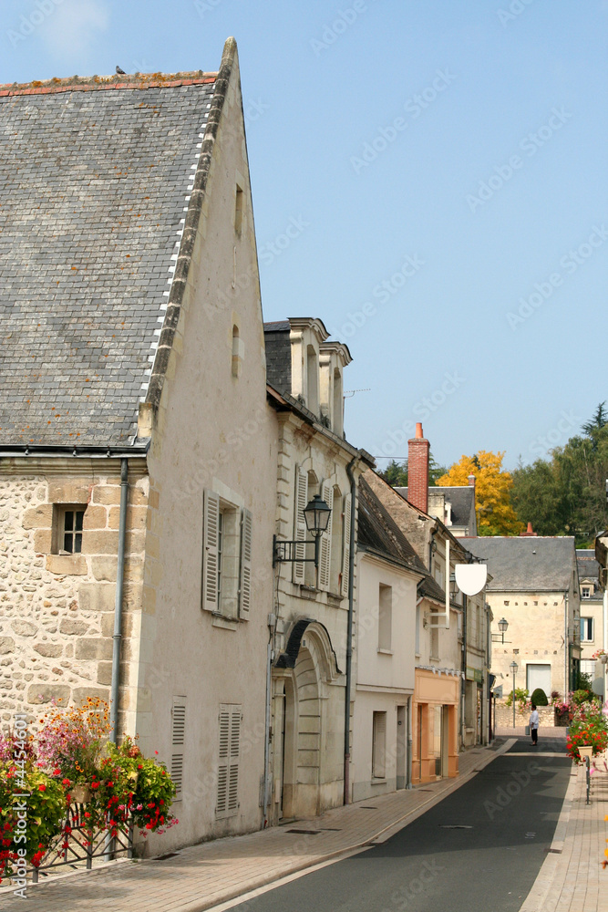 Country lane, Langeais, France