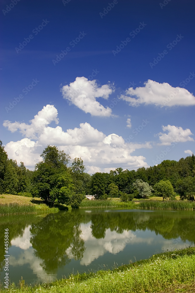 trees and clouds reflection