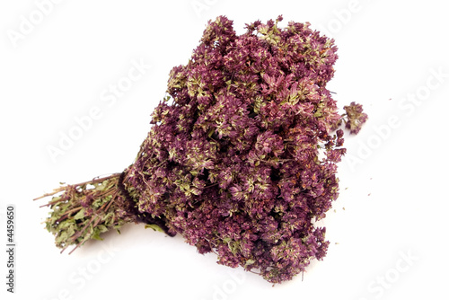 Dried Creeping thyme for tea