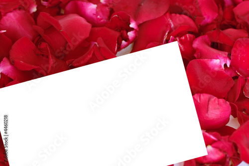 Sheet of a white paper on a...