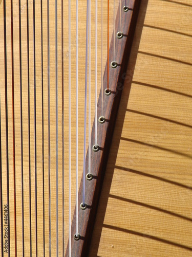 Harp Strings