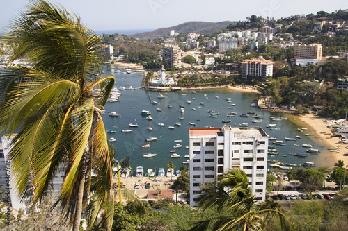 Busy Harbor in Acapulco