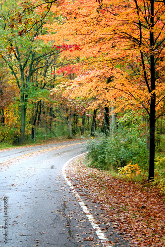 Beautiful Autumn Drive