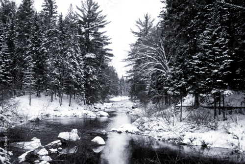 Snowy Creek