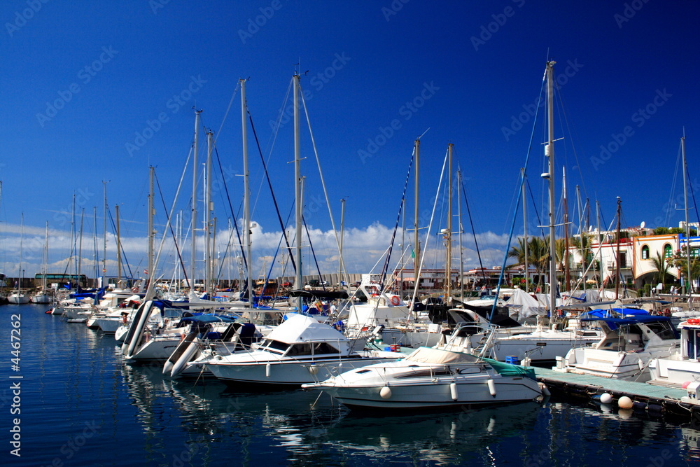 The Yacht Marina