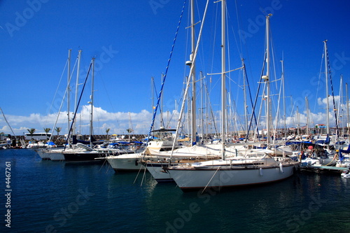 The Marina