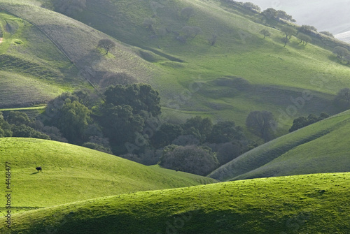 bay area countryside